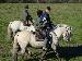 camargue15